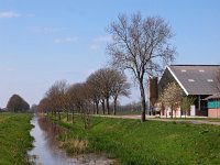 NL, Drenthe, Midden-Drenthe, Witteveen 7, Saxifraga-Hans Dekker
